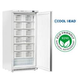Congelador vertical industrial CN613 de 600 litros con bajo consumo eléctrico