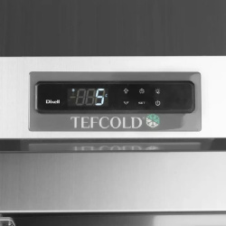 REFRIGERADOR VERTICAL PARA CARROS TEFCOLD RIC1760X1