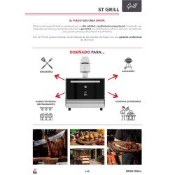 HORNO DE BRASAS PROFESIONAL CON PARRILLA 760x520 FM ST G500 S