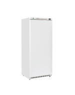 Congelador vertical 600 litros bajo consumo eléctrico